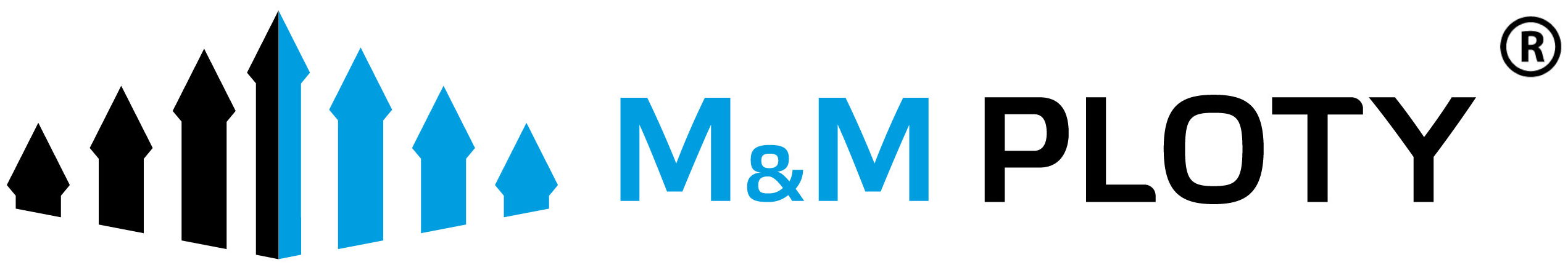 Primary Raster logo